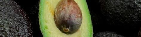 Avocado Oil