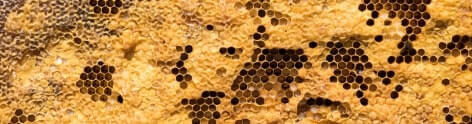Beeswax