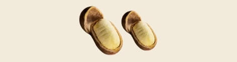 Cupuacu Butter