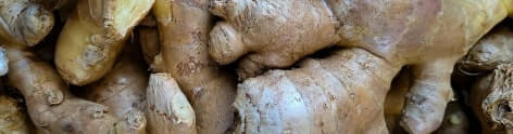 Ginger