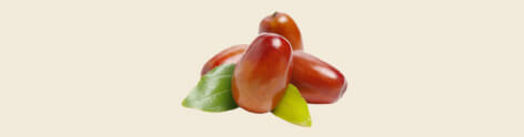 Jojoba Oil
