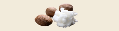 Shea Nilotica