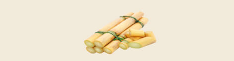Sugar Squalane