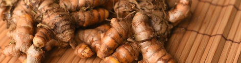 Turmeric Root