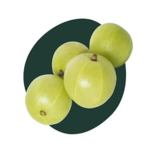 Amla