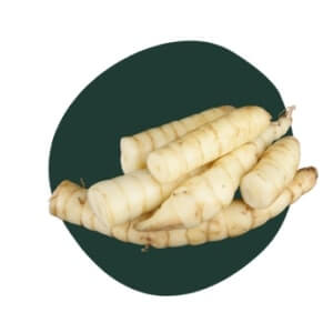 Arrowroot