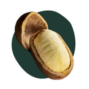 Cupuacu Butter