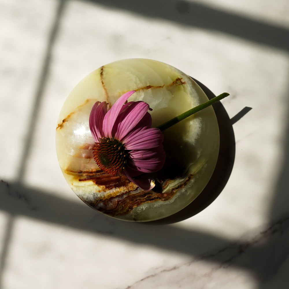 
                      
                        Chrysalis Echinacea Cleansing Balm
                      
                    