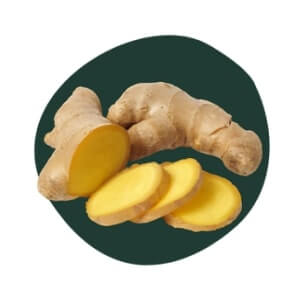 Ginger