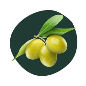 Olive Squalane