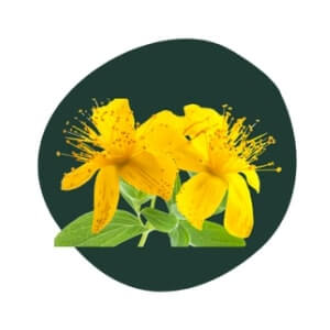 St. John's Wort